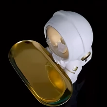 Astronaut Storage Tray