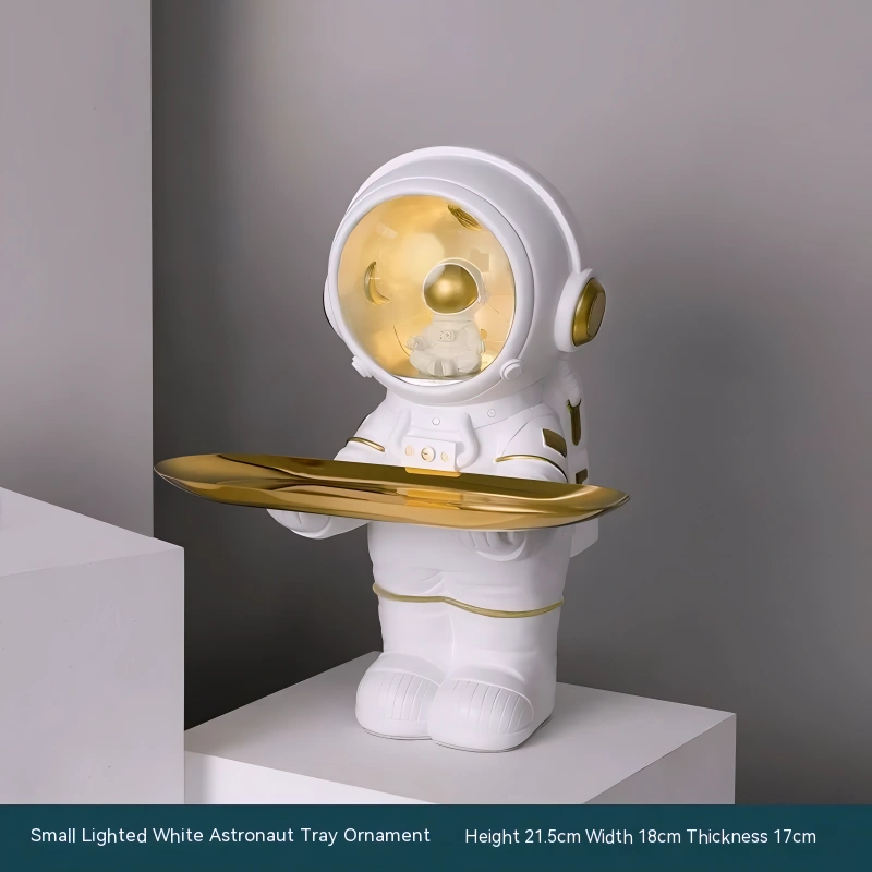 Astronaut Storage Tray