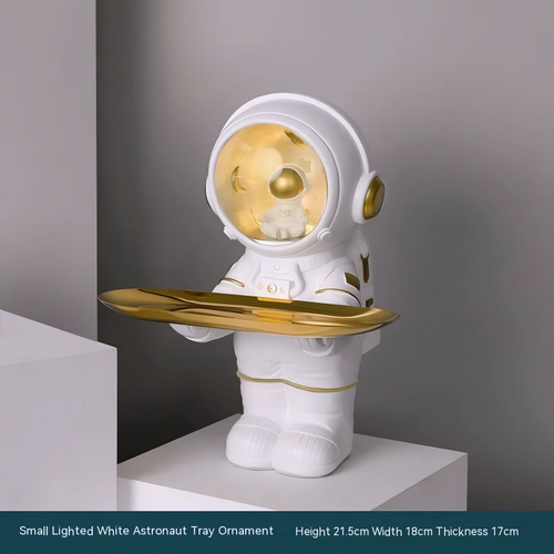 Astronaut Storage Tray